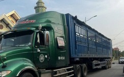 Quảng Ninh rà soát dây điện vượt đường sau phản ánh của Báo link w88 thông