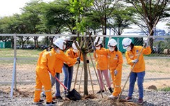 w88 com vn PMC xây dựng “Công trường Xanh - Sạch - Đẹp"