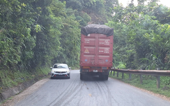 Hàng chục xe container chở dăm gỗ quá tải từ Bắc Giang về Quảng Ninh