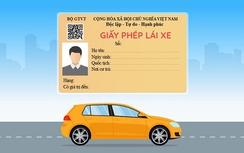 Hướng dẫn chi tiết cách đổi giấy phép lái xe trên mạng tại Hà Nội