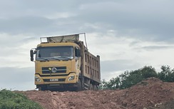 Vụ múc đất mỏ bán cho lò gạch ở Bình Định: Lập đoàn kiểm tra, xử lý vi phạm