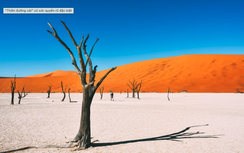 Sa mạc Namib kỳ bí với những cồn cát đỏ cao tới 300m