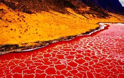 Hồ đỏ như máu có khả năng biến mọi loài vật thành đá ở Tanzania
