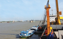 Bộ GTVT ủng hộ đầu tư mới, nâng cấp bến cảng ở An Giang
