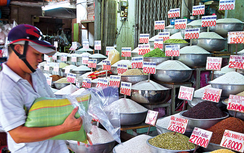 Giá gạo xuất khẩu Việt Nam tiếp tục tăng vọt