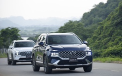 Doanh số xe Hyundai tăng vọt, bốn mẫu xe lọt top bán chạy