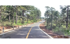 Lâm Đồng điều chỉnh Dự án nâng cấp đường nối từ ĐT725 đến ranh giới Đắk Nông