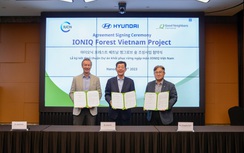 Hyundai Motor dự định trồng 120 nghìn cây ngập mặn tại Việt Nam