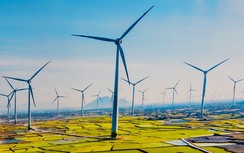 EVN kiến nghị phương án nhập điện gió từ Lào