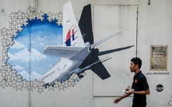 Chiếc lưới đánh cá rách hé lộ manh mối quan trọng về chuyến bay MH370