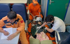 Đảo Cù Lao Chàm bị cô lập, 2 bệnh nhân tiên lượng xấu được tàu SAR 274 đưa về bờ an toàn