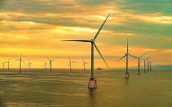 Đầu tư điện gió ngoài khơi: Doanh nghiệp háo hức nhưng vẫn phải chờ cơ chế