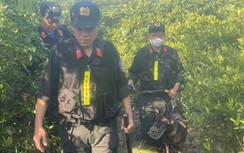 Công an Hà Tĩnh dùng chó nghiệp vụ xuyên đêm truy bắt 2 phạm nhân trốn trại