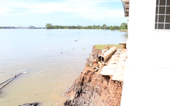 Vĩnh Long công bố tình huống khẩn cấp sạt lở 3 bờ sông