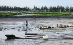 Thái Bình: Kỳ lạ danh sách hàng chục cơ quan được giao đất nuôi thủy sản