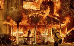 Báo cáo hỏa hoạn quốc gia mới nhất của Mỹ: 1.353.500 vụ, "đốt" gần 16 tỷ USD