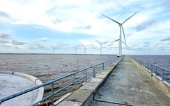 Phó Thủ tướng: Thí điểm giao EVN và doanh nghiệp trong nước làm điện gió ngoài khơi