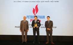 PVFCCo,Top 50 công ty kinh doanh hiệu quả nhất Việt Nam 2023