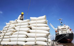 Giá gạo Việt cao kỷ lục: Động thái lạ trước nỗi lo đứt gãy chuỗi cung ứng
