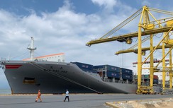 Mở tuyến vận tải biển đầu tiên từ Đà Nẵng đi thẳng đến Mỹ