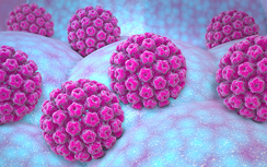 Loại virus là "thủ phạm" gây ra 6 căn bệnh ung thư ở cả nam và nữ