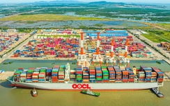 Đề xuất tăng 10% giá bốc dỡ container cảng biển