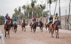 Hà Nội lấy ý kiến xây trường đua ngựa hơn 400 triệu USD