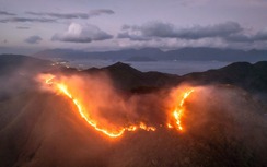 Hàng trăm người tham gia dập lửa cứu người lúc nửa đêm trong vụ cháy núi Cô Tiên 