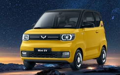 Wuling HongGuang Mini EV thay đổi nhận diện tại Việt Nam