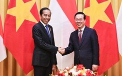Việt Nam - Indonesia thúc đẩy hợp tác phát triển hệ sinh thái xe điện, pin điện