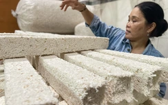 Lạ lẫm món bánh truyền thống được làm từ hạt nếp ngon giòn ngày Tết