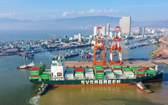 Hơn 40 triệu cổ phiếu cảng Quy Nhơn chính thức lên sàn HOSE