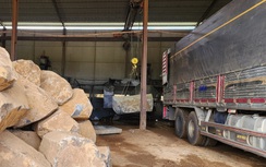 Đắk Nông: Mới được phép thăm dò đã đào đá đem đi bán