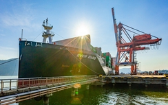 Hơn 9,6 triệu tấn hàng thông qua cảng Quy Nhơn năm 2023