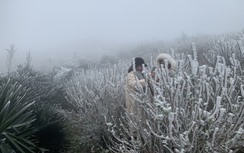 Người dân thắp đèn sưởi, mặc áo ấm, nấu cháo cho "đầu cơ nghiệp" trong giá lạnh miền núi