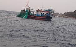 Hai tàu cá ở Khánh Hòa bị phạt 350 triệu vì đánh bắt trong vùng biển cấm
