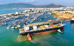 Cảng Quy Nhơn đặt mục tiêu hơn 1.300 tỷ đồng doanh thu trong năm 2024