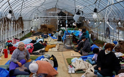 Động đất tại Nhật Bản: Lo ngại thảm họa chồng thảm họa