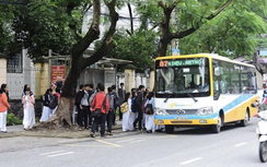 Đà Nẵng đưa buýt công cộng thành “quả đấm thép” chống xe trá hình, xe dù