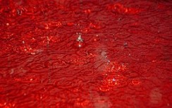 Trận "mưa máu" bí ẩn ở Ấn Độ