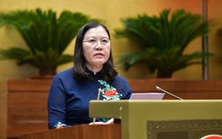Đại biểu đồng tình quy định nghiêm cấm thỏa thuận mua bán người từ khi là bào thai
