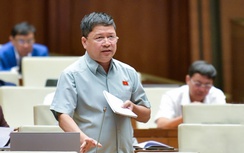 Đại biểu Quốc hội: "Quy định thế này, mùa quýt mới có thị trường điện cạnh tranh"