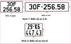 Hình dáng của biển số ô tô, xe máy sẽ áp dụng từ 1/1/2025