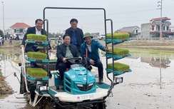 Đầu năm mới, Thủ tướng cùng nông dân cấy lúa, thu hoạch cà rốt