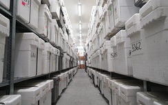 Kho lưu trữ khổng lồ bảo quản 40.000 lõi băng