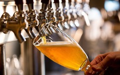 Lợi nhuận nhiều công ty bia sụt giảm mạnh