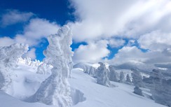 “Quái vật tuyết” có một không hai tại Nhật Bản