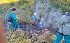 Vụ cháy rừng ở Sa Pa cơ bản được khống chế