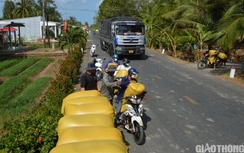 Đường sụt lún ô tô không thể qua, nông dân Cà Mau thuê xe máy chở lúa ra điểm tập kết