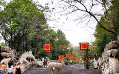 Tận thấy đôi rồng xác lập kỷ lục dài nhất Việt Nam trên núi Ngũ Phong 15 năm trước